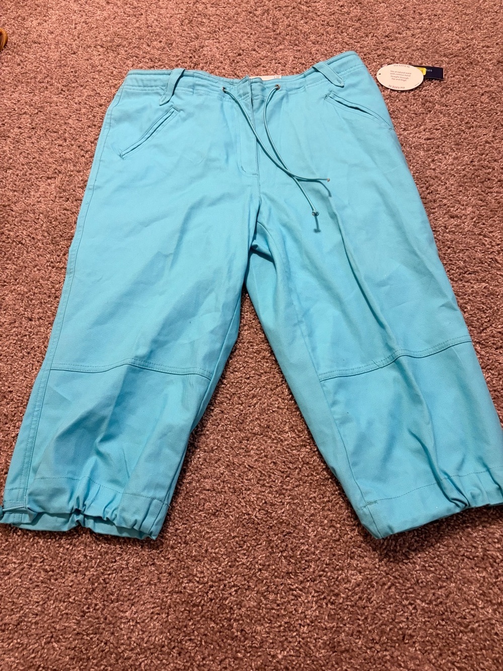 Westbound Petites Blue Turquoise Capris Size 12p NWT